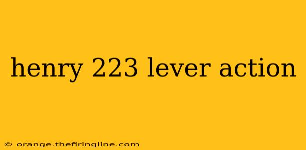 henry 223 lever action