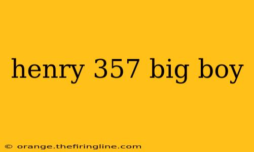 henry 357 big boy