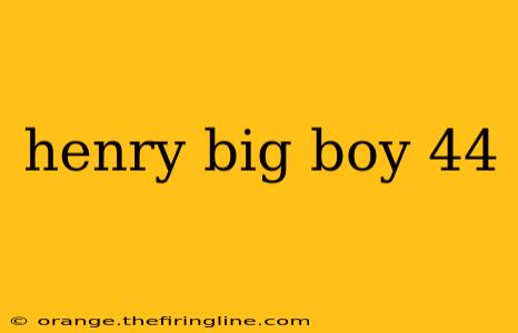 henry big boy 44