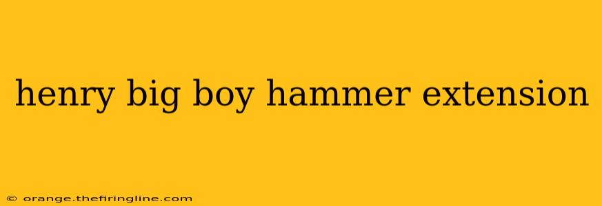 henry big boy hammer extension