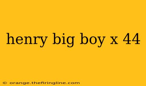 henry big boy x 44