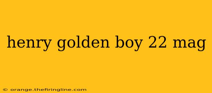 henry golden boy 22 mag