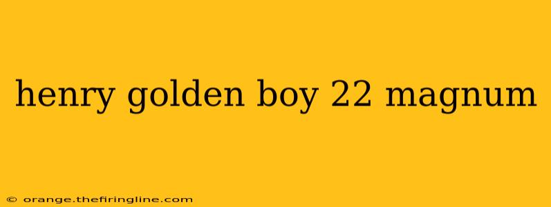 henry golden boy 22 magnum