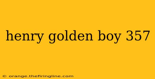 henry golden boy 357