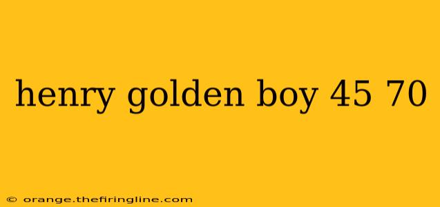 henry golden boy 45 70