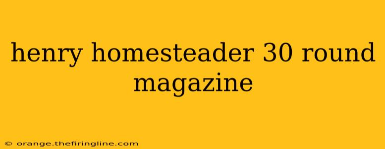 henry homesteader 30 round magazine