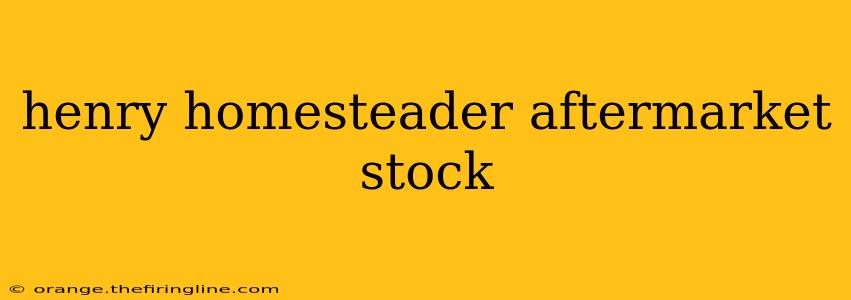 henry homesteader aftermarket stock