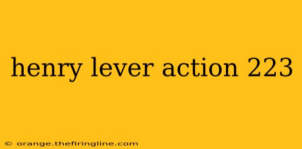 henry lever action 223