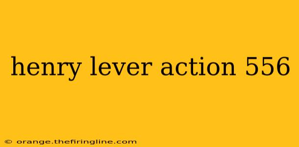 henry lever action 556