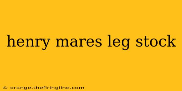 henry mares leg stock