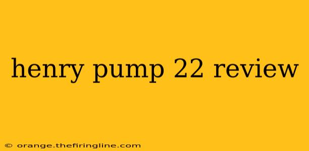 henry pump 22 review