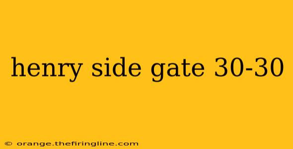 henry side gate 30-30