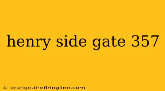 henry side gate 357