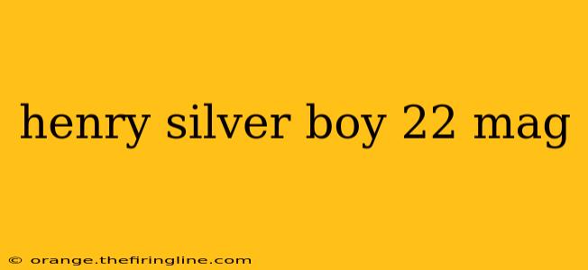 henry silver boy 22 mag