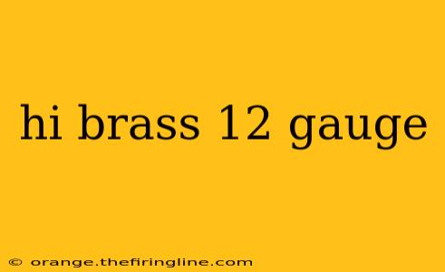 hi brass 12 gauge