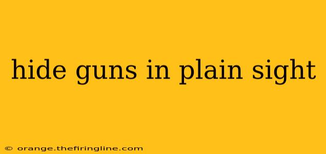 hide guns in plain sight