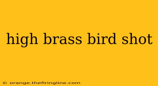 high brass bird shot