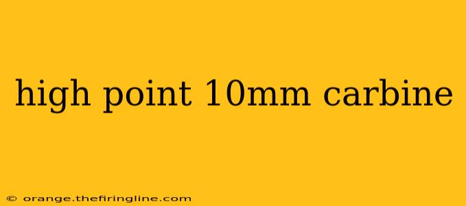 high point 10mm carbine