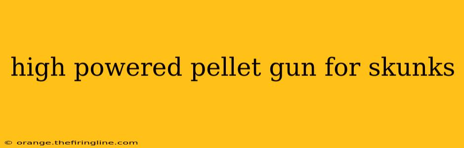 high powered pellet gun for skunks