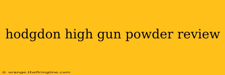 hodgdon high gun powder review