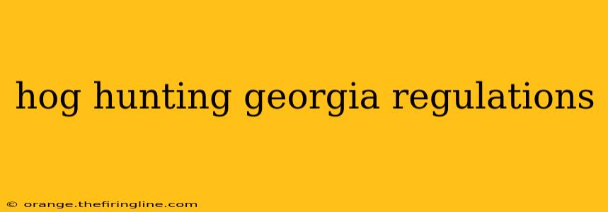 hog hunting georgia regulations