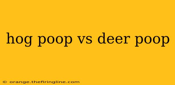 hog poop vs deer poop