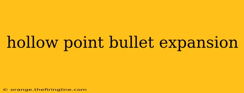 hollow point bullet expansion