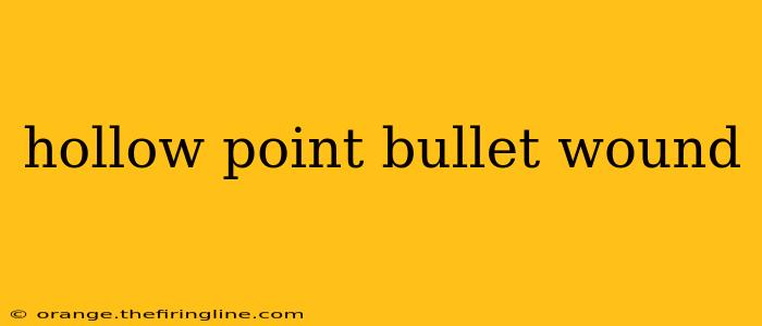 hollow point bullet wound