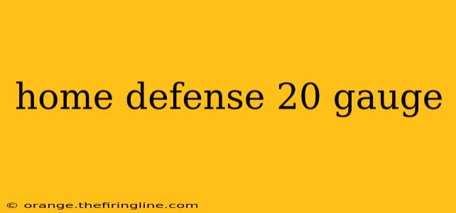 home defense 20 gauge