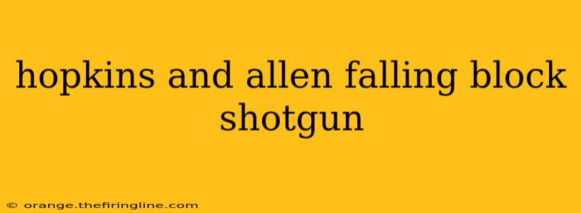 hopkins and allen falling block shotgun