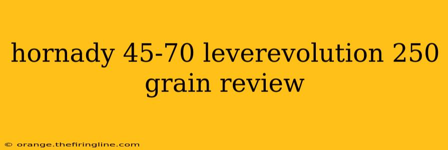 hornady 45-70 leverevolution 250 grain review