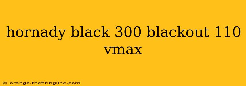 hornady black 300 blackout 110 vmax