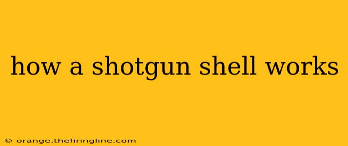 how a shotgun shell works