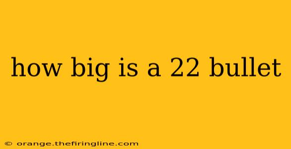 how big is a 22 bullet