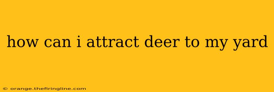 how can i attract deer to my yard