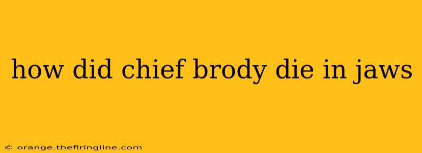 how did chief brody die in jaws