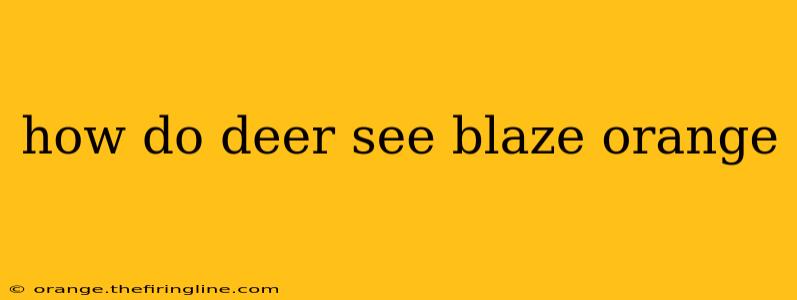 how do deer see blaze orange