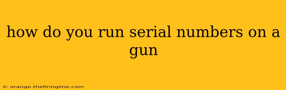 how do you run serial numbers on a gun