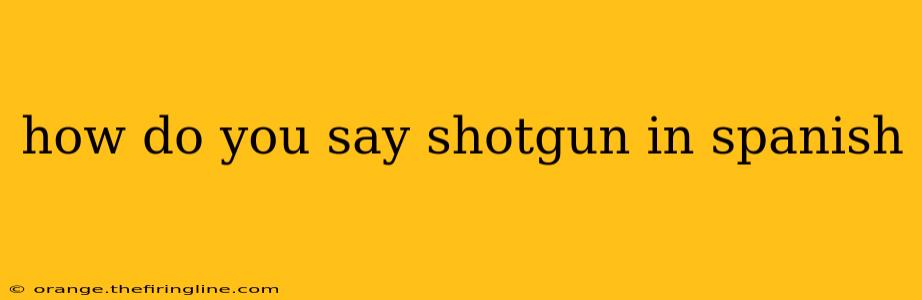 how do you say shotgun in spanish