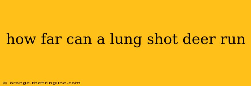 how far can a lung shot deer run