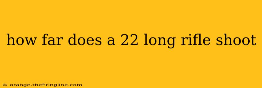 how far does a 22 long rifle shoot