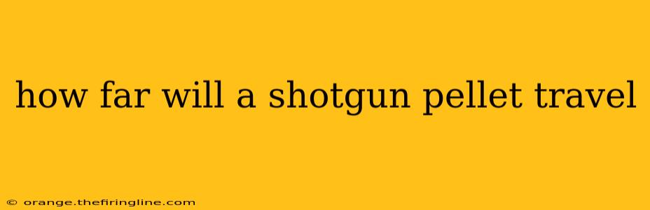 how far will a shotgun pellet travel