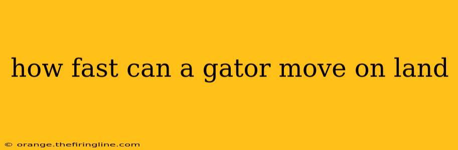 how fast can a gator move on land