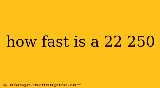 how fast is a 22 250