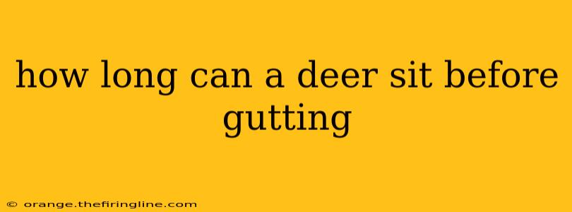 how long can a deer sit before gutting