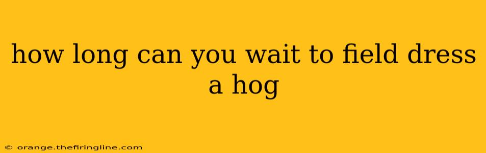 how long can you wait to field dress a hog