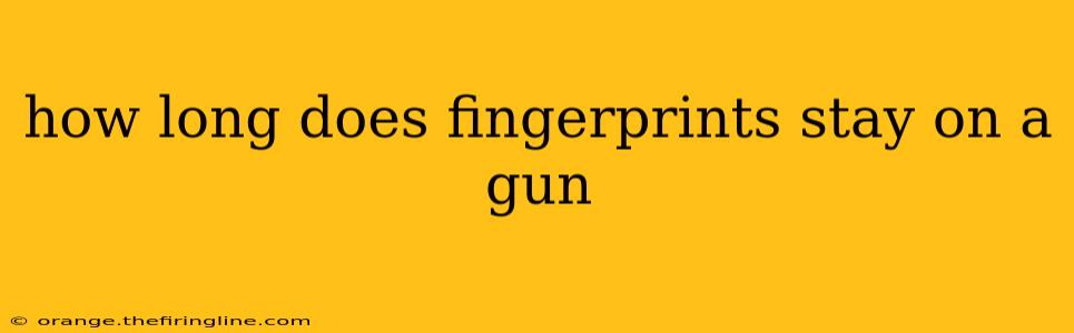 how long does fingerprints stay on a gun