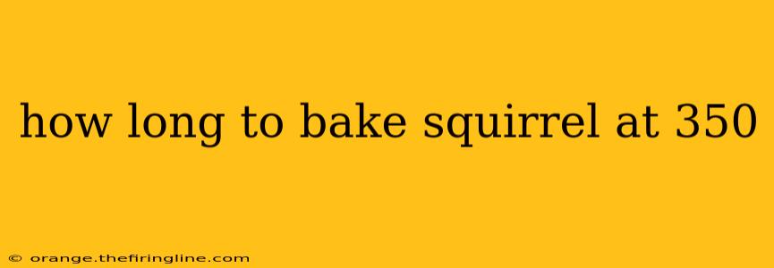 how long to bake squirrel at 350