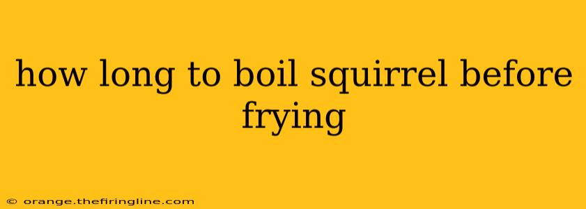 how long to boil squirrel before frying