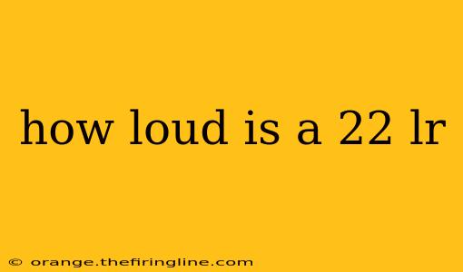 how loud is a 22 lr